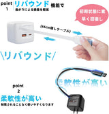 RISUKAI K38 30W 巻き取り式USB-C急速充電器 PT02